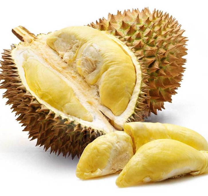 馬來西亞冷凍榴蓮進(jìn)口報關(guān)資料 馬來西亞冷凍榴蓮進(jìn)口報關(guān)資料