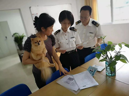 1570758589945122.jpg 寵物食品進口報關