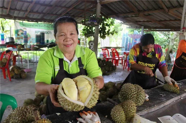 1587431485584187.jpg timg (2)_副本.jpg