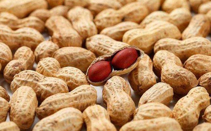 1605668209320473.jpg 農(nóng)產(chǎn)品進口報關(guān)