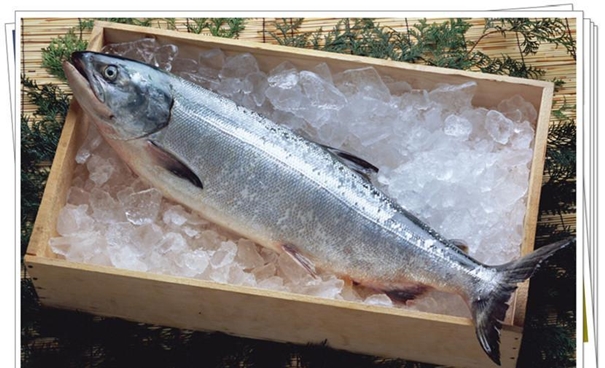 1631095835938531.jpg 上海水產品進口報關_副本.jpg