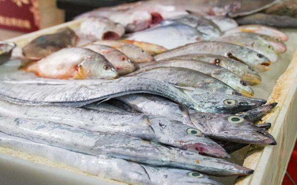 1631095880539377.jpg 上海水產品進口報關公司_副本.jpg