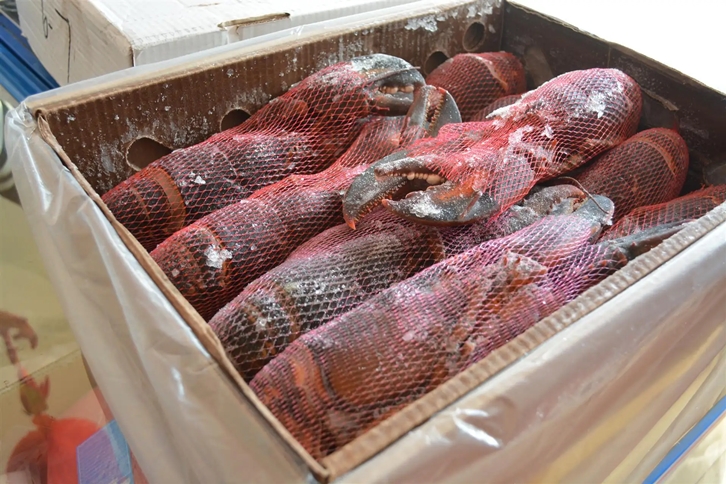 1651224613762989.jpg 進(jìn)口肯尼亞野生水產(chǎn)品報(bào)關(guān).jpg