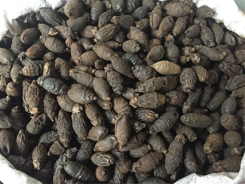 1653375333257621.png 進口馬來西亞干檳榔清關(guān).png