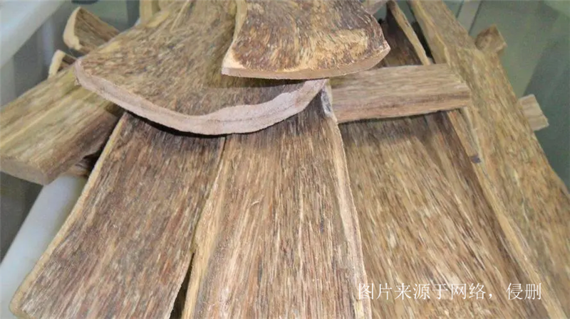 1675848857872728.png 進口沉香木片報關.png